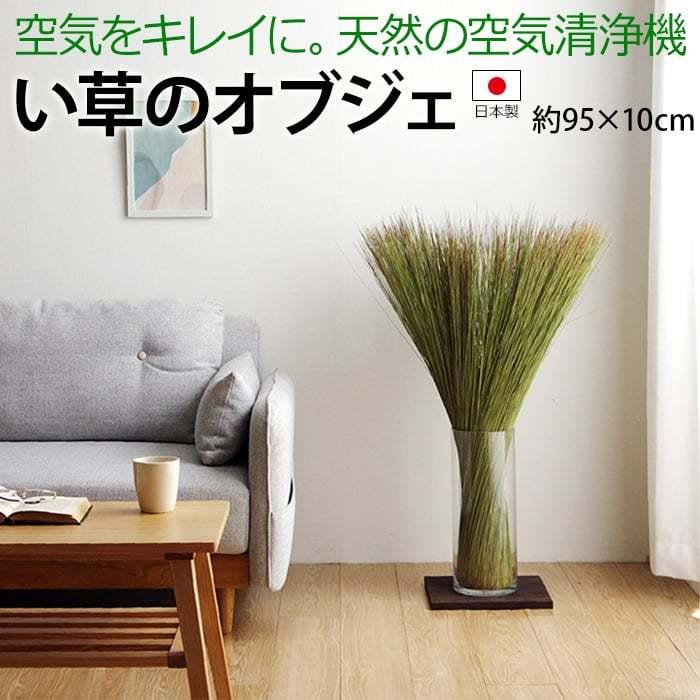 畳のもと　い草 インテリアオブジェ 約95×10 cm　2個　花瓶付き　セット 71NssBgoyNL._AC_UF1000,