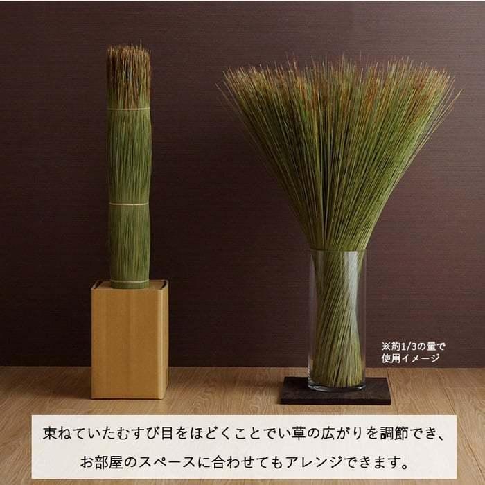 イケヒコ 観葉植物 い草 オブジェ インテリア 置物 日本製 消臭 空気