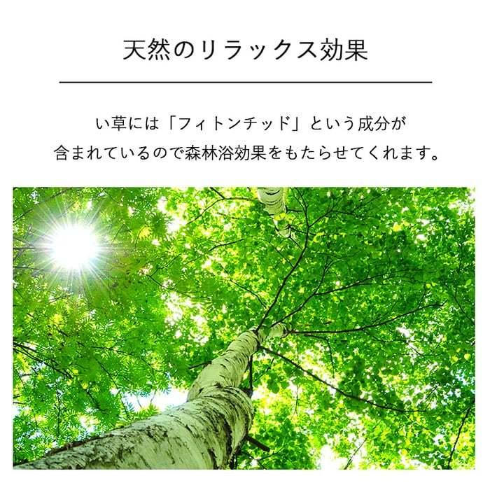 イケヒコ 観葉植物 い草 オブジェ インテリア 置物 日本製 消臭 空気