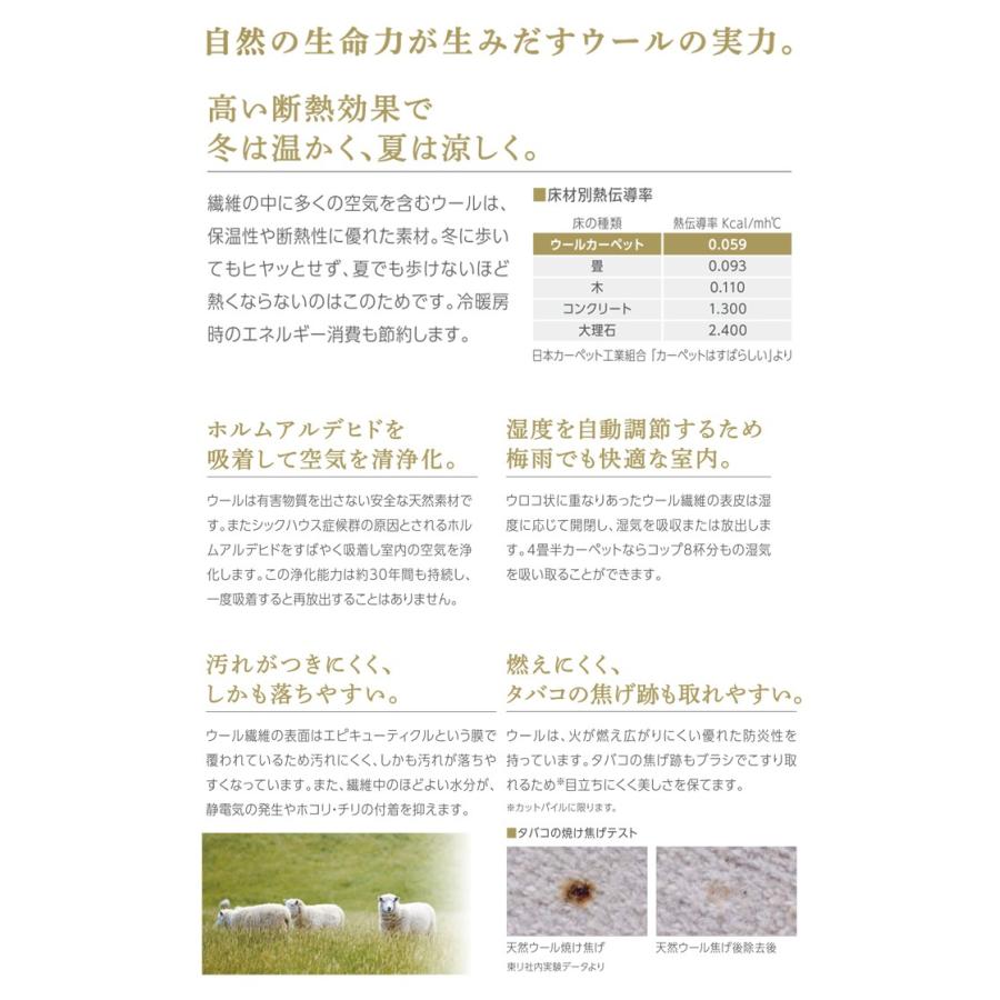 東リ（TOLI） オーダーカーペット フリーカット 防炎 防ダニ 制電