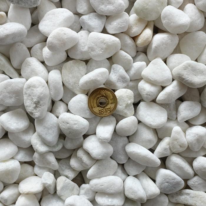 在庫あり E Garden砂利 白 玉石 白玉石 玉砂利 庭 ガーデニング 敷き砂利 おしゃれ 白玉砂利 5分 約1 5 2ｃｍ 約30ｋｇ入り Egeodental Com Ar