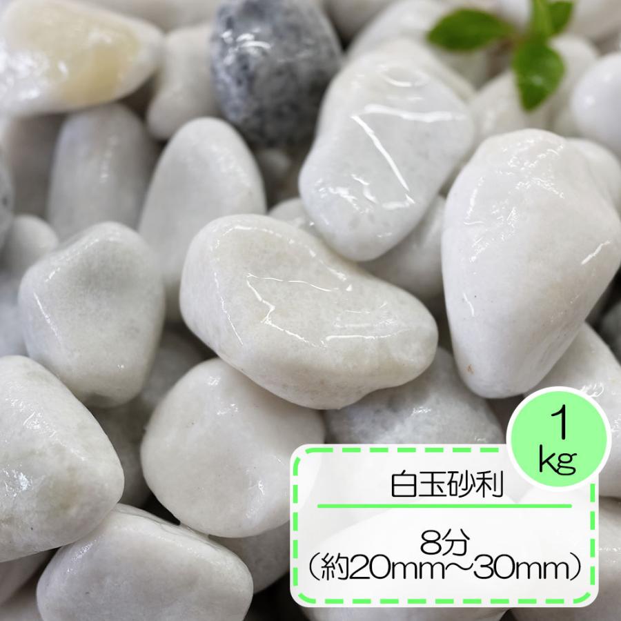 砂利 白 玉石 白玉石 玉砂利 庭 ガーデニング 敷き砂利 おしゃれ 白玉砂利 8分 約2 3ｃｍ 約30ｋｇ入り 1 E Garden ヤフー店 通販 Yahoo ショッピング
