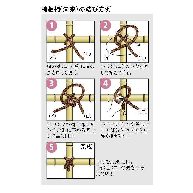 本棕櫚梅印 大束 黒1本出し 3mmx40m 10束セット 10 E Garden 通販 Yahoo ショッピング