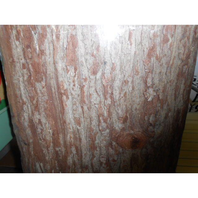 夜伽の双子 アクリル フォト パネル 島袋ユミ 直筆サイン 当選品 夜伽の双子 アクリル フォト パネル 直筆サイン入り - メルカリ