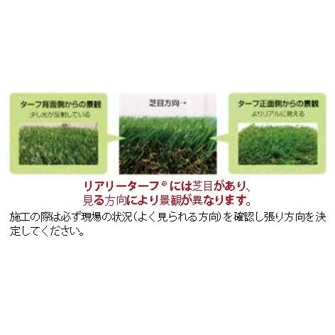リアリーターフ 人工芝 パイル16ｍｍ ショート 2m×5mの画像