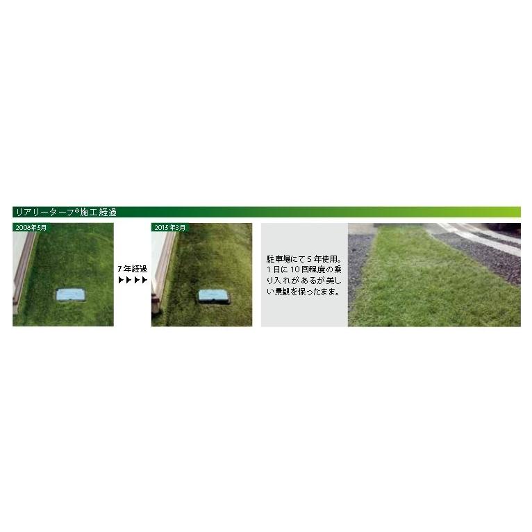 リアリーターフ 人工芝 パイル16ｍｍ ショート 2m×5mの画像