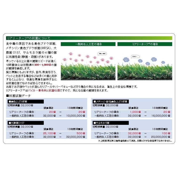 リアリーターフ 人工芝  パイル 25mm 抗菌タイプ 1m×10mの画像