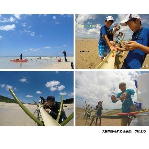 流しそうめん 流し竹のみ 人工竹 F8ｃｍｘ1 3ｍ 3本 Y0003 T 3 E Garden 通販 Yahoo ショッピング