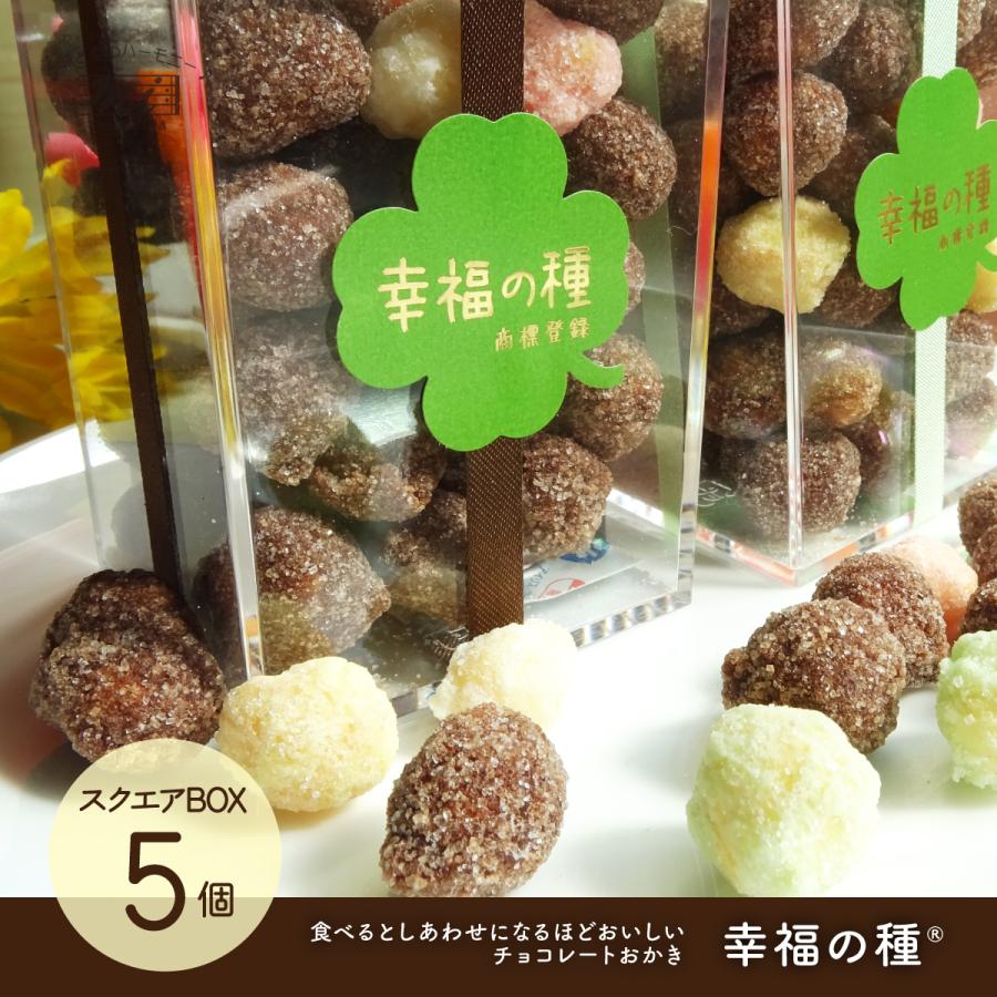 幸福の種　スクエアBOX５個単位　バレンタインデー　ホワイトデー　サンクスギフト　洋菓子専門店　お取り寄せ　簡易包装 | 