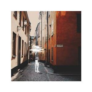 【付属品完備】ヨルシカ だから僕は音楽を辞めた 初回限定盤 ヨルシカ「だから僕は音楽を辞めた」初回生産限定版 ヨルシカ