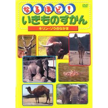 なるほど!いきものずかん キリン・ゾウのなかま レンタル落ち 中古 DVD