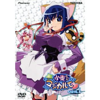 ナースウィッチ小麦ちゃんマジカルて KARTE.2 DVD
