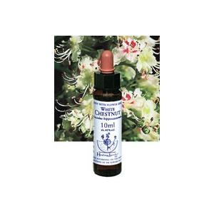 NEAL'S YARD REMEDIES（ニールズヤードレメディーズ） ヒーリング