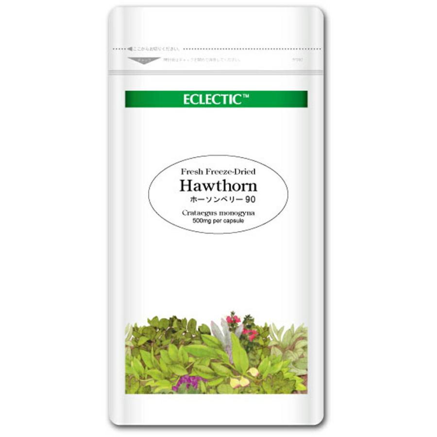 【新品！】ECLECTICエクレクティックホーソンベリー Ecoパック90粒 ECLECTIC（エクレクティック） INSTITUTE ホーソンベリー Ecoパック
