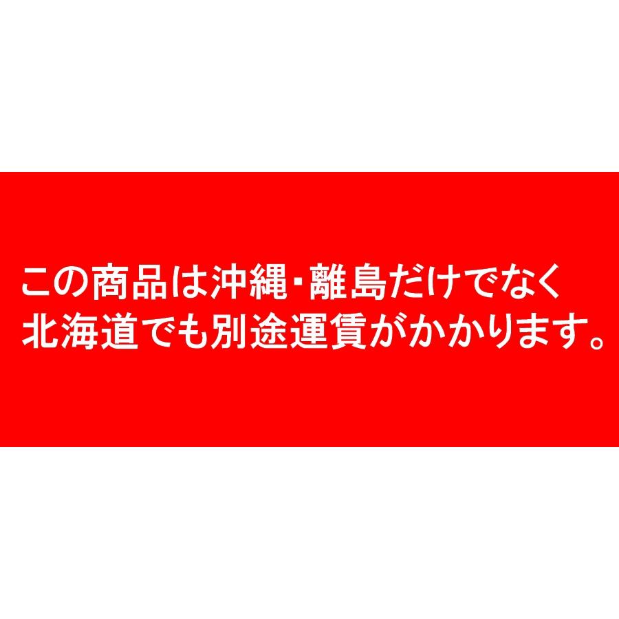 【新生活特価】通常より5,000円引きドラム缶ガラステーブル　給油口（小タイプ） ドラム缶焼却炉下小窓蝶番蓋付 煙突付 200L カラー選択 家庭用 農業