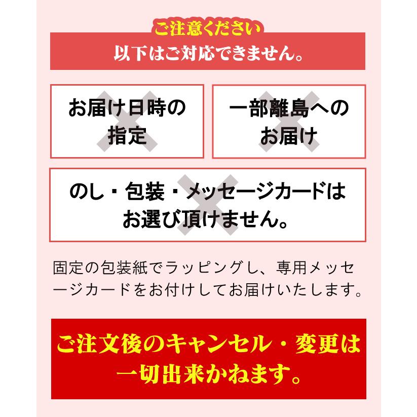 送料無料 母の日 マダガスカルジャスミン鉢植え 母の日ギフト  マダガスカルジャスミン 鉢植え 花 長持ち プレゼント ギフト 注文締切5月5日｜youkoso-gift｜06