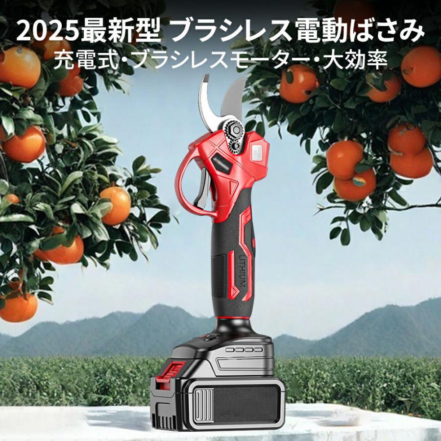 電動剪定ばさみ 電動剪定バサミ 充電式 一台2役 高枝切り 電動枝切り