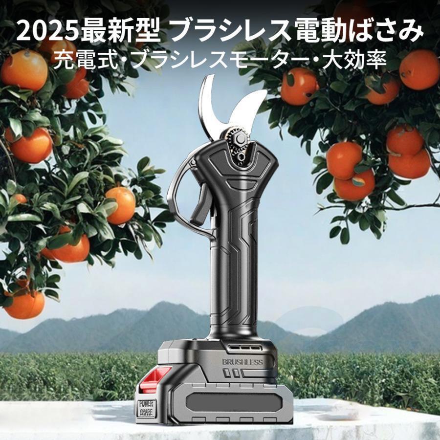 充電式剪定ばさみ ✨ 40mm 2段調整 電動ハサミ ケース付 園芸 本体のみ 剪定バサミ 電動剪定ばさみ 充電式 一台2役 高枝切りバサミ 家庭用