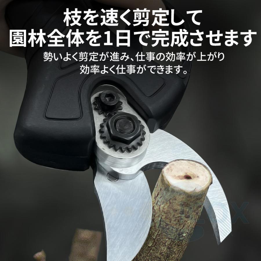 剪定バサミ 電動剪定ばさみ 充電式 一台2役 高枝切りバサミ 家庭用