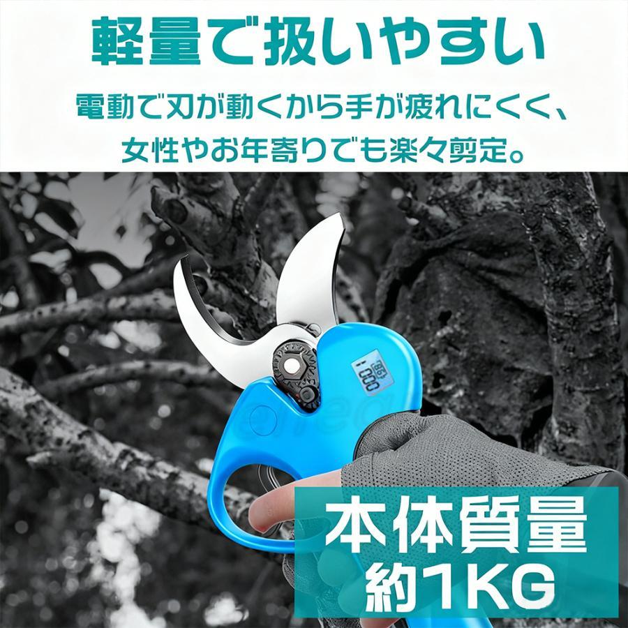 2IN1 電動高枝切りバサミ 高枝切り 充電式剪定ばさみ ブラシレス