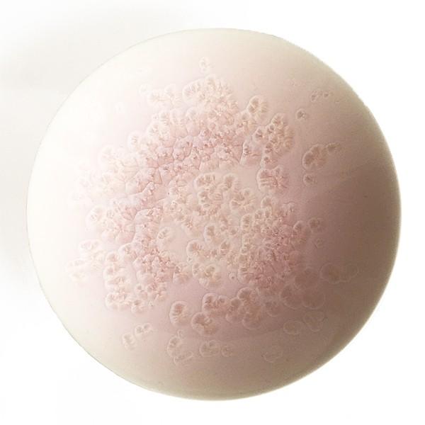 小皿 菓子皿 美濃焼 結晶釉（けっしょうゆう）桜 : young ole Yahoo!店