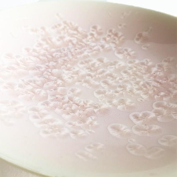 小皿 菓子皿 美濃焼 結晶釉（けっしょうゆう）桜 : young ole Yahoo!店