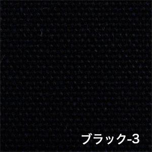 ハーフトート・レギュラー |  | 13