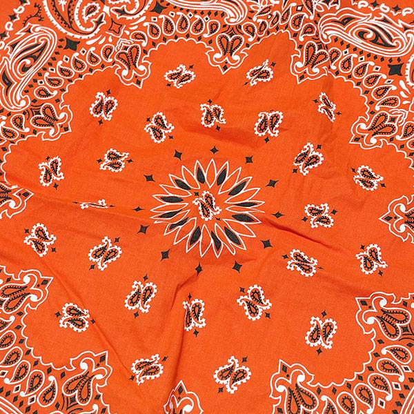 防虫加工 ペイズリー柄バンダナ ＜全6色＞ 55×55cm : ワイオミング
