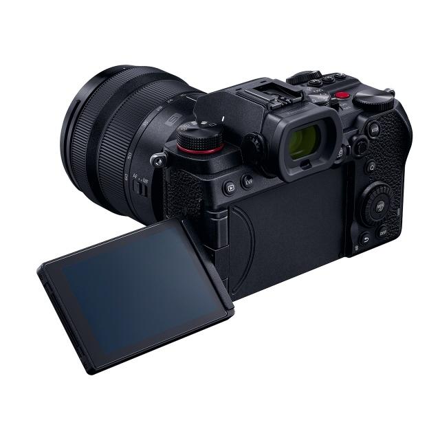 Panasonic（パナソニック） デジタル一眼カメラ LUMIX DC-S5K 標準