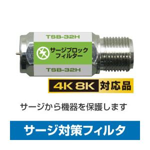 サージ対策フィルター(雷サージ