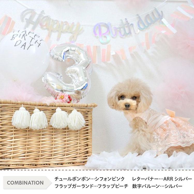 regalo（パーティグッズ） 誕生日 バースデー 100日祝 ハーフ