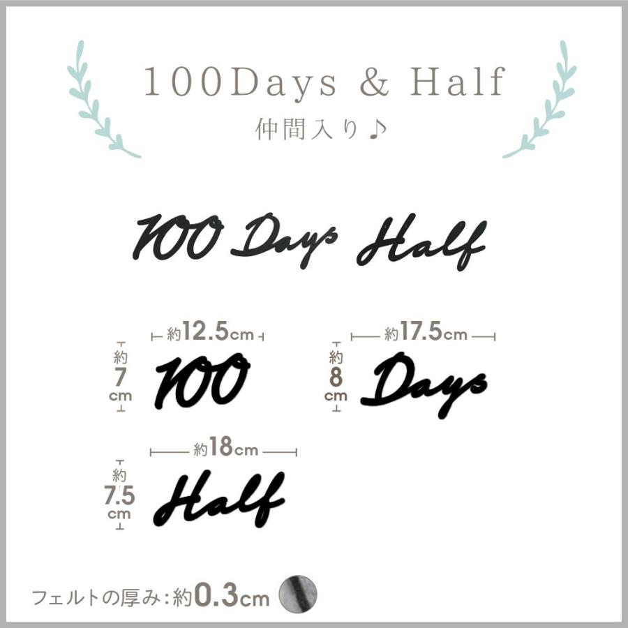 誕生日 飾り付け フェルト ガーランド レターバナー バースデー パーティー 1歳 2歳 3歳 男 女 大人 DIY 文字  飾り  壁飾り  regalo | regalo（パーティグッズ） | 02