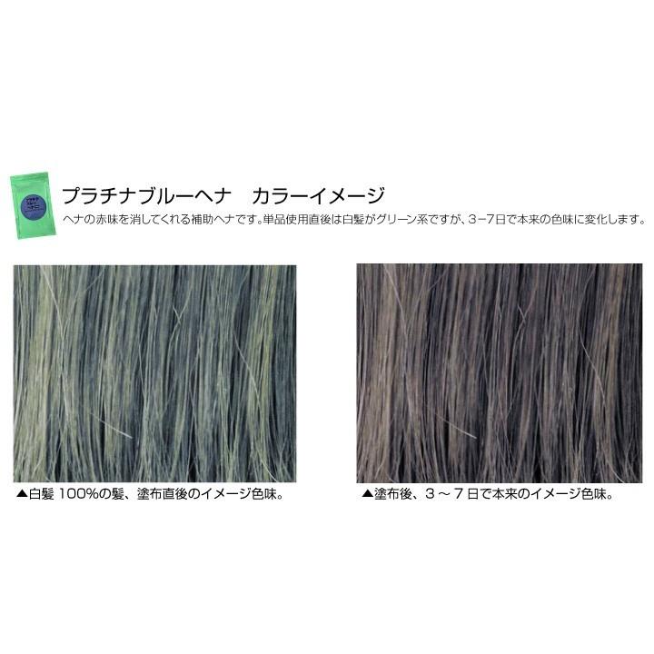 国内正規総代理店アイテム ジャパンヘナ プラチナブルー 天然100％ 補助ヘナ 100g japan henna 白髪染め オーガニック ヘアカラー  天然 ハーブ ycp1