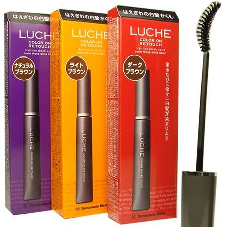 (2本セット)ラッチェ カラーオンリタッチ 15ml マスカラ 白髪染め luche ycp1|youplus-corp|02