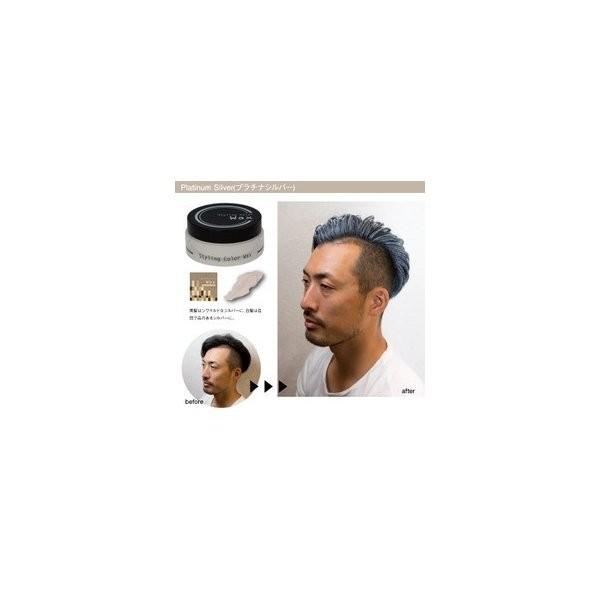 ビナ ヘアスタイリングカラーワックス プラチナシルバー Vina ヘアカラー Yct2 ユープラス Paypayモール店 通販 Paypayモール