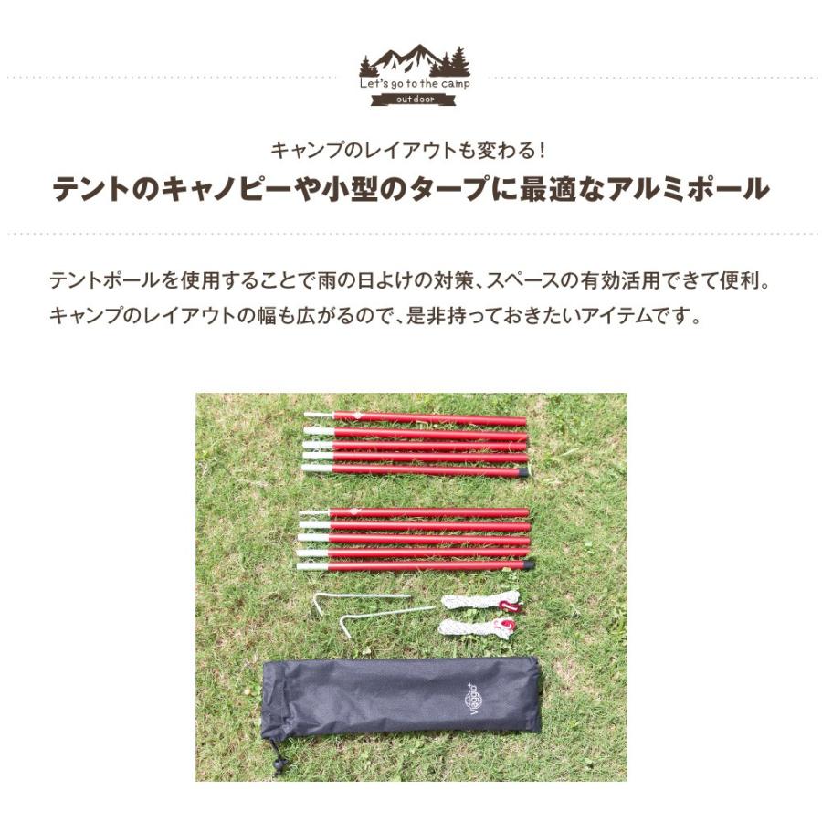 タープポール テントポール 2本セット F16mm 68 170cm 収納ケース ロープ ペグ付 アウトドア キャンプ キャノピー 送料無料 Yct Viaggio ユープラス Paypayモール店 通販 Paypayモール