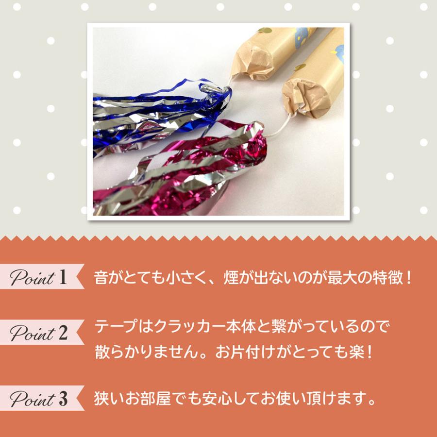 21新入荷 ジェンダーリビール クラッカー 性別 サプライズ 性別発表 パーティー お披露目 男の子 女の子 Boy Or Girl 赤ちゃん ベビー プレママ Yck Regalo2 150円 Aynaelda Com