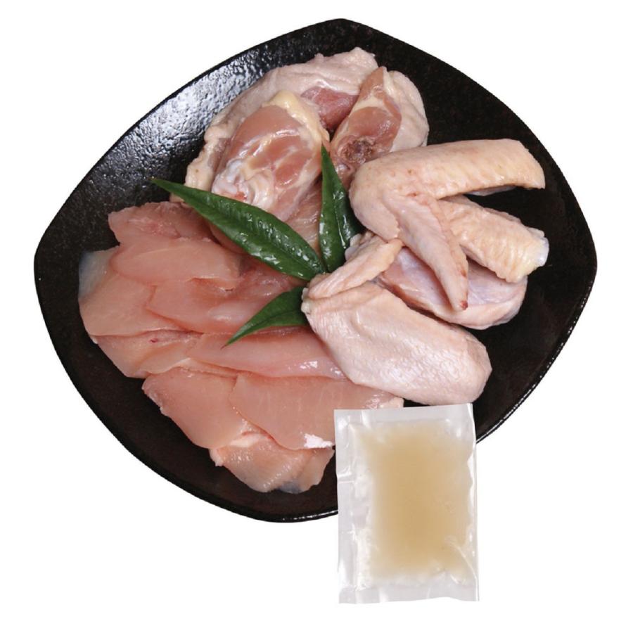 熊本 大阿蘇どり コラーゲンスープ水炊き 北海道・沖縄・離島は配送不可) A 送料無料 お取り寄せ鍋セット はかた地どり 水炊きセット B (2人前) ※スープ増量タイプ(600g×2) 福岡県 九州 あったか 冬 定番 一部地域追加送料あり