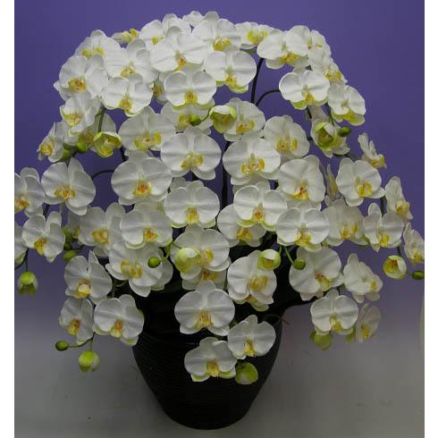 造花 光触媒 胡蝶蘭 大輪 白 M 10本立ち 人工造花の画像