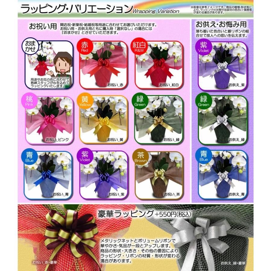造花 光触媒 胡蝶蘭 大輪 白 特大 2L 3本立ちの画像