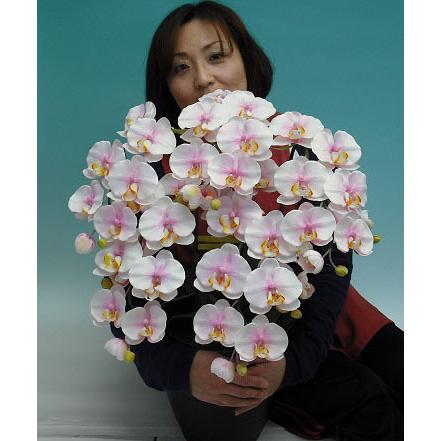 造花 光触媒 胡蝶蘭 大輪 さくらピンク(絞りピンク ぼかしピンク) M 5 