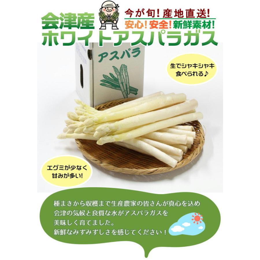 アスパラ 送料無料 会津産 ホワイトアスパラガス 3lサイズ 1kg 長さ25 26cm 約本 国産 産直 野菜 旬 産地直送 お取り寄せ 朝採り 春野菜 夏野菜 ハイマート 通販 Yahoo ショッピング