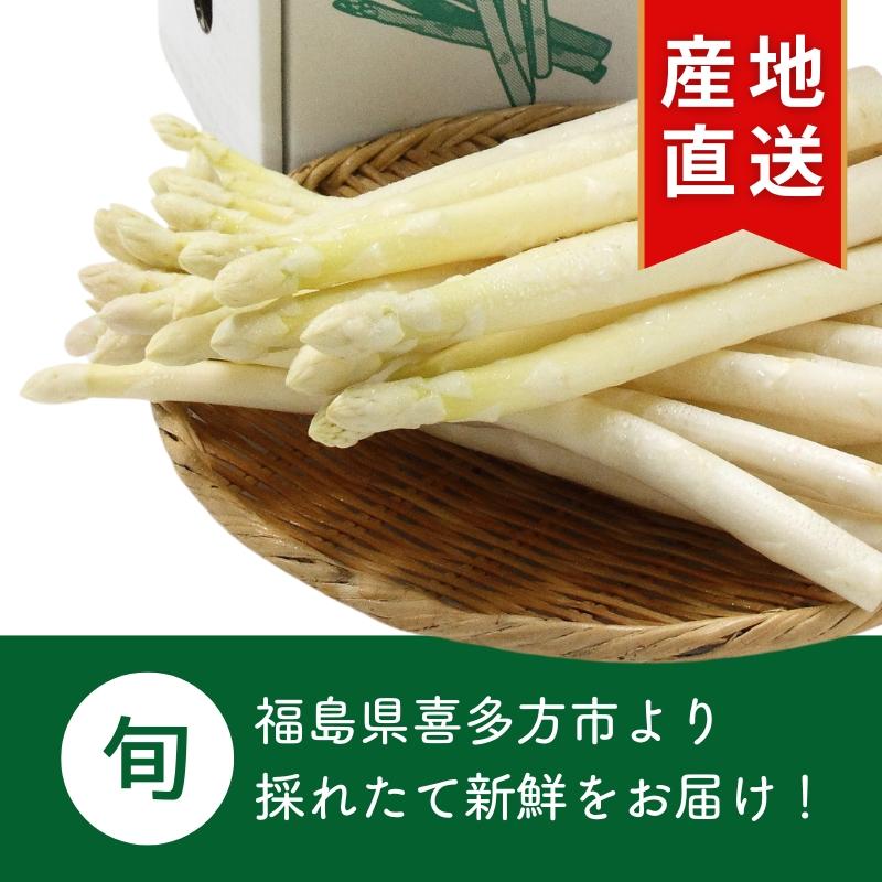 アスパラ 送料無料 会津産 ホワイトアスパラガス Lサイズ 500g (長さ25〜26cm×約20本) 国産 産直 野菜 旬 産地直送 お取り寄せ 朝採り 春野菜 夏野菜｜yourheimat｜02