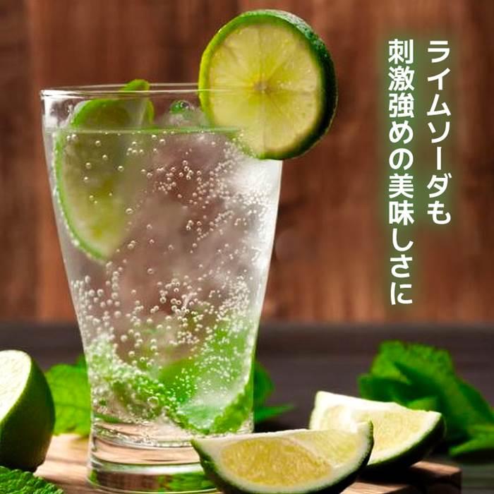 炭酸水 アルミボトル缶 500ml×24本 ビッグバーンフーズ 炭酸 無糖 0
