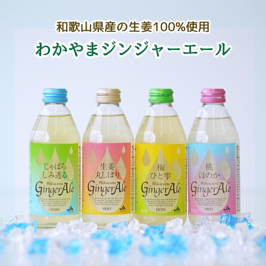 生姜丸しぼり Wakayama Ginger Ale [生姜丸しぼり] 250mL×24本 JA
