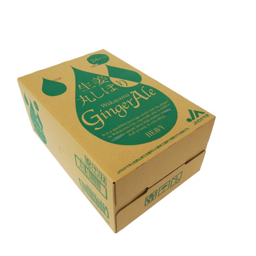 生姜丸しぼり Wakayama Ginger Ale [生姜丸しぼり] 250mL×24本 JA