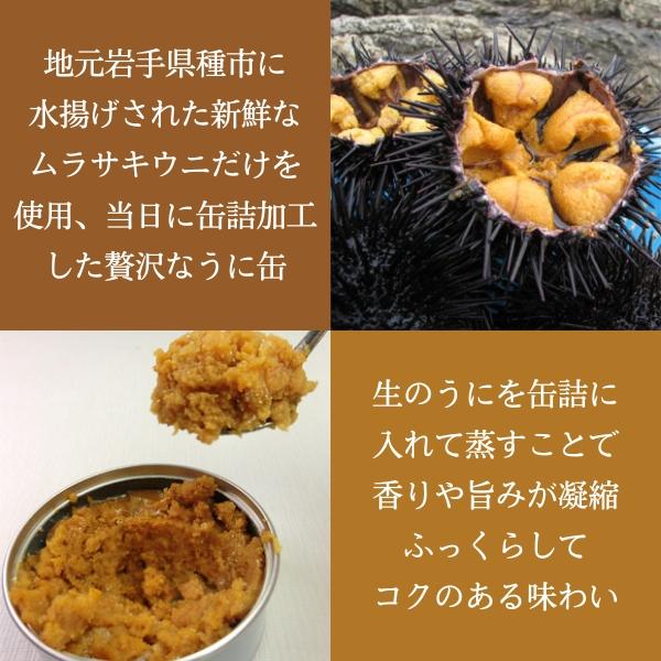 無添加 無味付 高級珍味 うに缶 90g [2缶] 宏八屋 岩手県洋野町種市