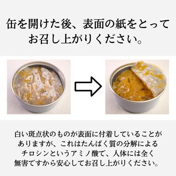 無添加 無味付 高級珍味 うに缶 90g [2缶] 宏八屋 岩手県洋野町種市