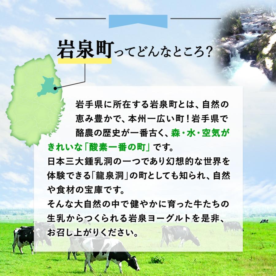 岩泉ヨーグルト ギフトセット [加糖・無糖 1kg×各1袋/のむヨーグルト2本] 選べる アソート セット 大容量 岩泉 産地直送 健康 母の日｜yourheimat｜09