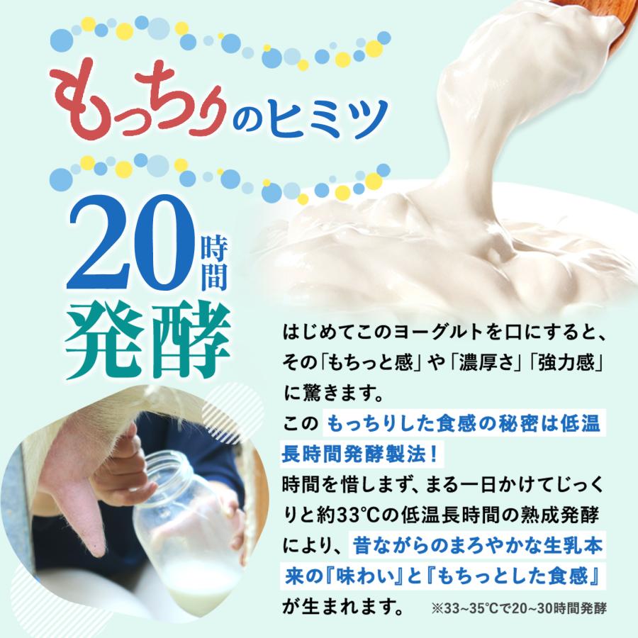 ヨーグルト 岩泉ヨーグルト プレーン 無糖 ( 1kg × 2袋 ) セット ギフト 大容量 お取り寄せ もっちり 岩手 産地直送 | 岩泉産業開発 | 07